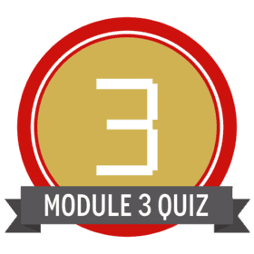 Module 3 Main Quiz