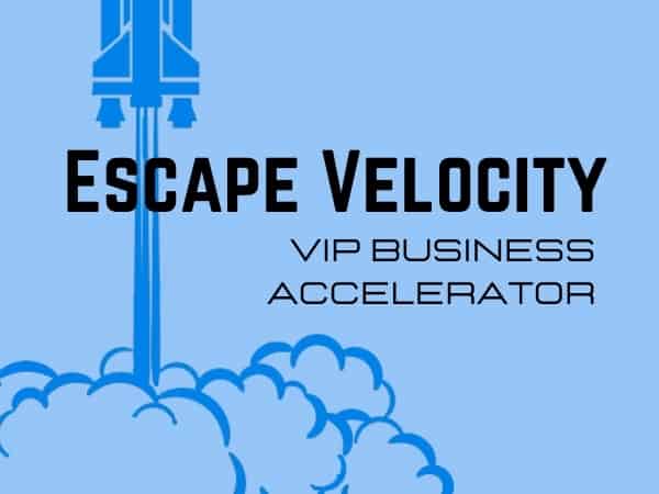 VIP Business Accelerator course image
